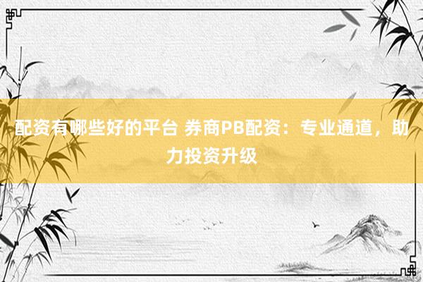 配资有哪些好的平台 券商PB配资：专业通道，助力投资升级